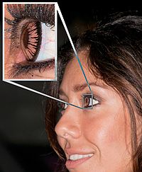 Woman wearing a cosmetic type of contact lens; enlarged detail shows the grain produced during the manufacturing process. Curving of the lines of printed dots suggests these lenses were manufactured by printing onto a flat sheet then shaping it. Contact Grain.jpg