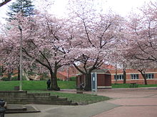 Couch Park in Portland.jpg