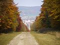 L'automne en Lorraine.