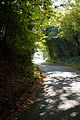 Country lane north Nuthurst, West Sussex, England.jpg
