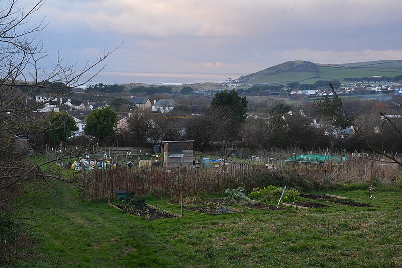 File:Croyde , Allotments - geograph.org.uk - 5645585.jpg