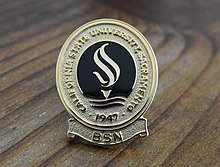 The nursing pin awarded to graduates of the nursing school at Sacramento State University in the USA. Csusnursingpin.jpg