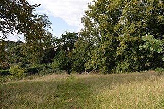 Cut-throat Meadow nature reserve in the United Kingdom