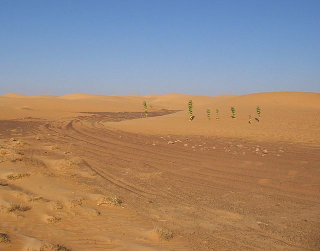 Tracks through the Sahara desert in Mauritania.