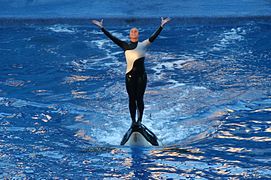 ‎ Dawn Brancheau, trainer, later killed by killer whale Tilikum