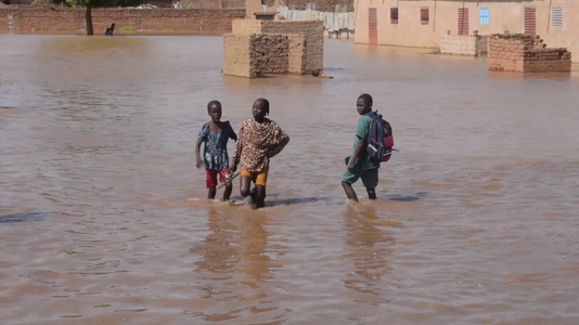 Des enfants rentrent des classes Photographer : User:HAMIDOU KAOU 6767