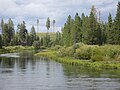 Deschutes River Trail to Behnam Falls (2014)