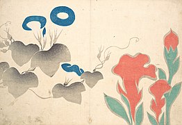 Ogata Korin. Volubilis, et d'autres fleurs. Gravure sur bois. Metropolitan Museum of Art