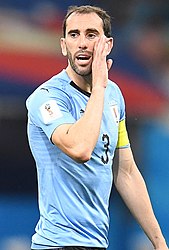 people_wikipedia_image_from Diego Godín