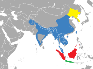 Bengalkatze: Merkmale, Verbreitung und Lebensraum, Unterarten und ihre Verbreitung