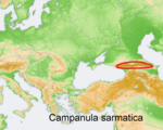 Mapa de distribuição Campanula sarmatica.png