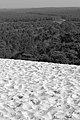 Dune Pyla 07.jpg