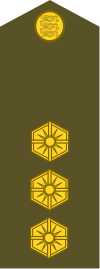 ES-Army-OF13.svg