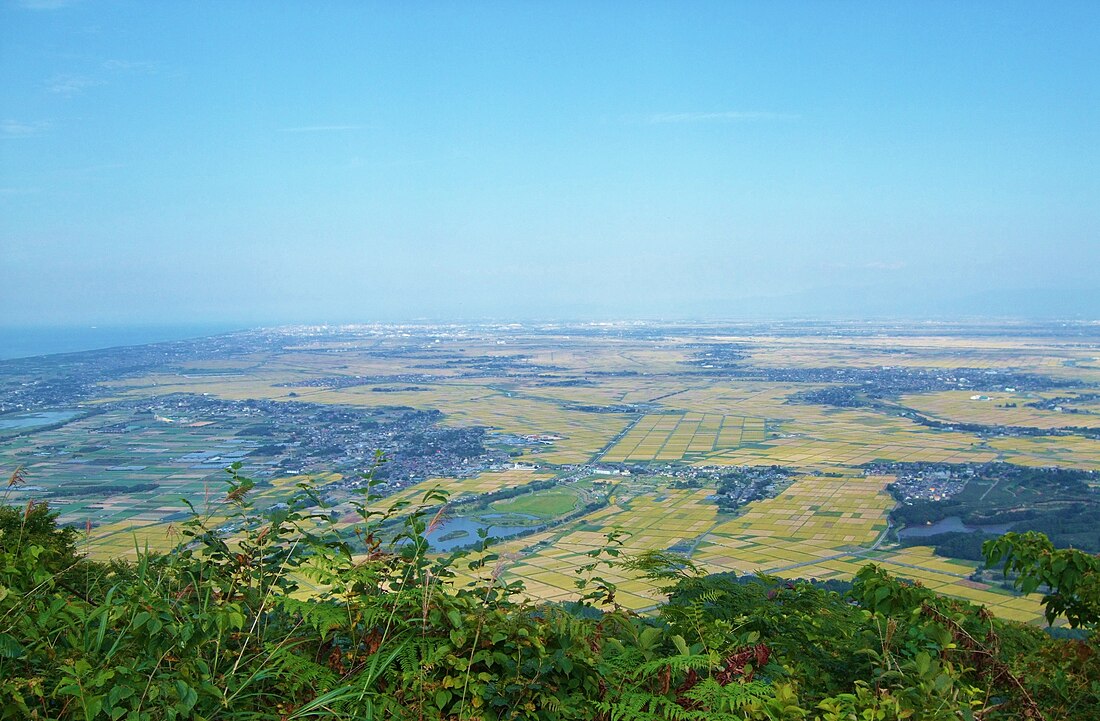 에치고평야