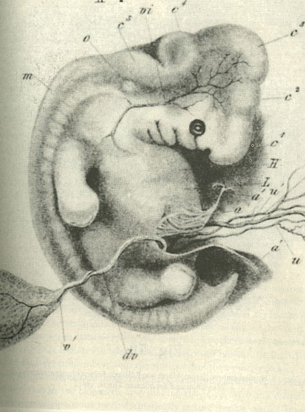 File:Ecker-Vorlage.jpg