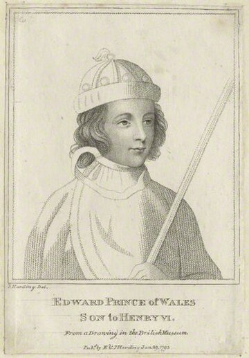 Eduard de Westminster, Prinț de Wales