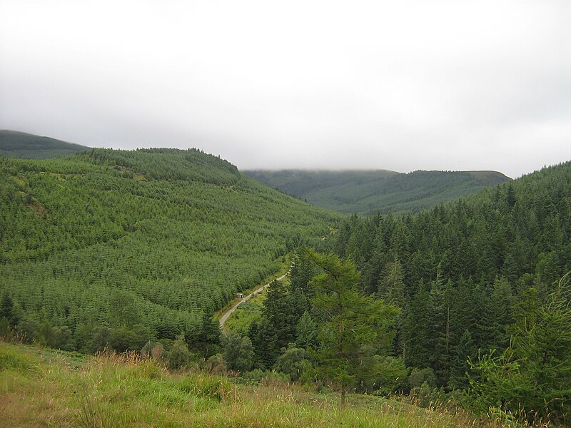 File:Eindrücke aus dem Wicklow Mountains Nationalpark1.jpg