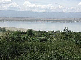 Illustrativt billede af artiklen Elmenteita Lake