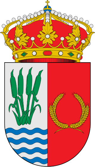 Escudo de Yuncler.svg