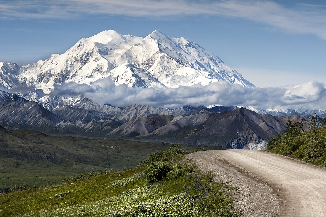 Nasjonaal Park en Wyldreservaat Denali