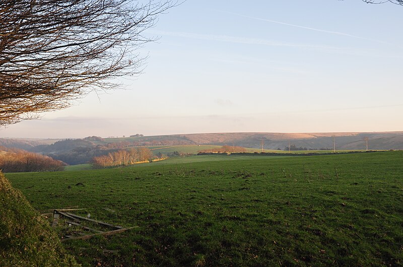 File:Exmoor , Grassy Field - geograph.org.uk - 2768490.jpg