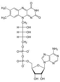 Illustrativt billede af varen Flavine adenine dinucleotide