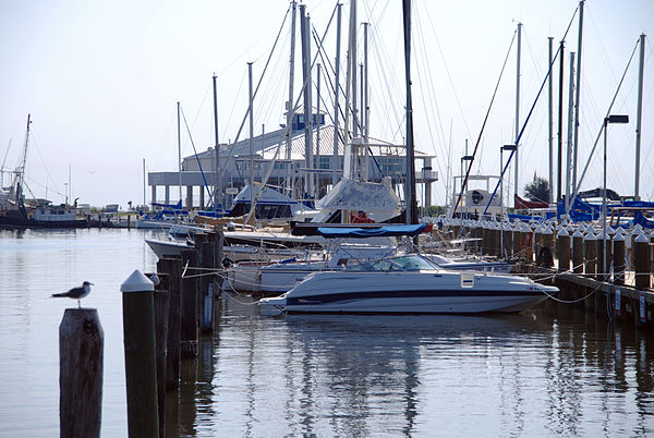 Pass Christian Harbor in August 2008