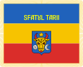 Знамя Sfatul Tarii. Асабовы бок