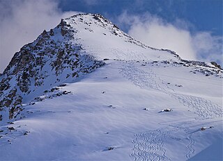 <span class="mw-page-title-main">Foremast Peak</span> Mountain in the country of Canada