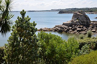 Jardin Exotique de Roscoff