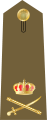 Διακριτικό του Ταξίαρχου, 1946–1959