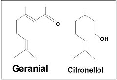 Citronellol