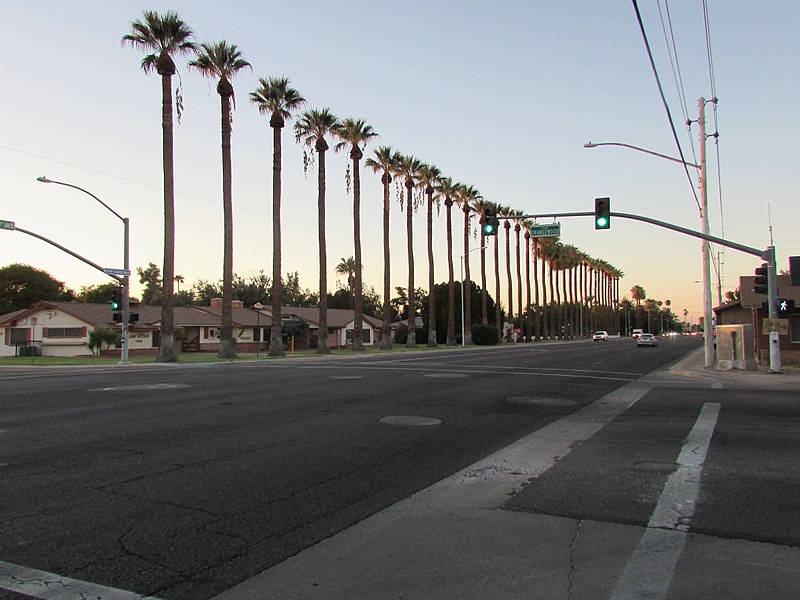 File:Glendale Palms in the Residential Historic District.jpg