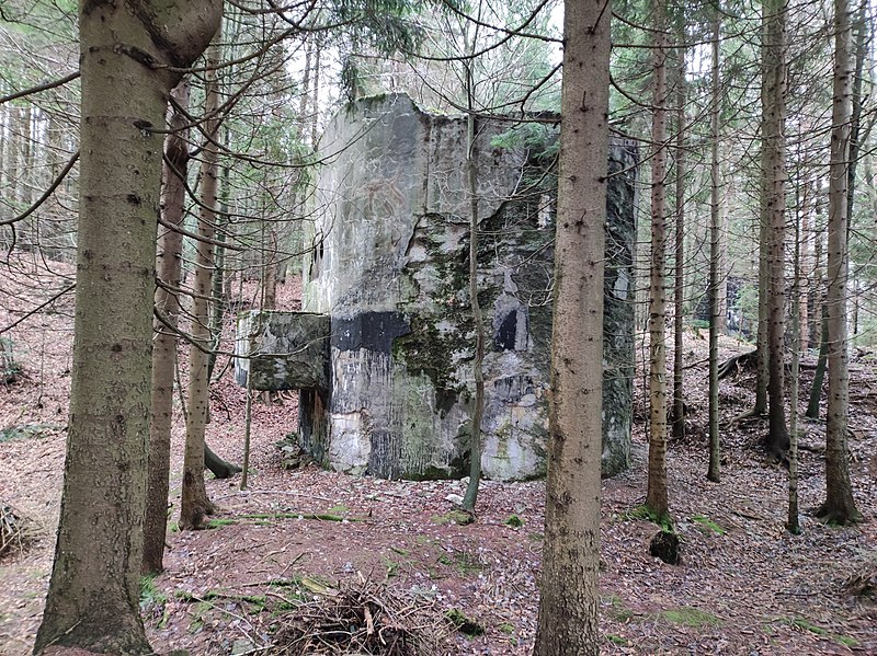 File:Goli Vrh, western summit-type bunker of the Rupnik Line 02.jpg