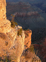 Grand Canyon National Park Early sun on.jpg