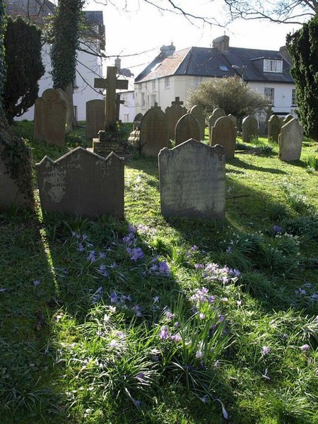 File:Gravestones and crocuses, Chagford - geograph.org.uk - 716442.jpg
