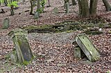 Denkmalzone Jüdischer Friedhof