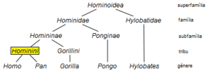 Ésser Humà: Nom científic, Història, Hàbitat i població