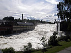 Maura, Viken, Norwegia - Widok na górę - Marifje