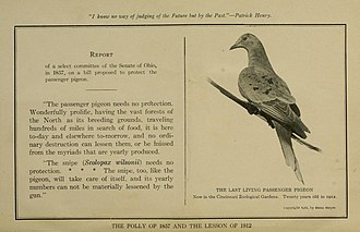 "The Folly of 1857 and the Lesson of 1912", frontispiece to William T. Hornaday's Our vanishing wild life (1913), showing Martha in life, the endling of the species. Hornaday Frontispiece.jpg