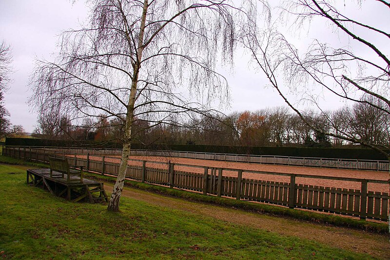 File:Horse training ring in Waterstock - geograph.org.uk - 1724851.jpg