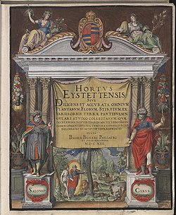 Hortus Eystettensis, 1613 (KU 2894-1 003) -title.jpg