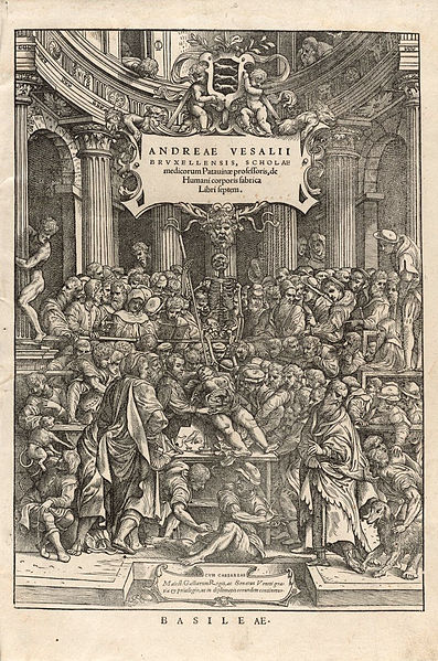 File:Houghton Typ 565.43.868 - De humani corporis fabrica.jpg