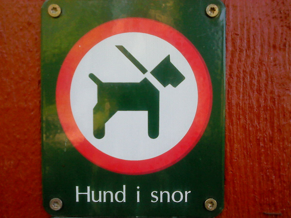 File:Hund snor.jpg - Wikimedia Commons