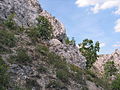 Budai Sas-hegy Természetvédelmi terület
