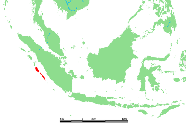 Localización de las islas Mentawai