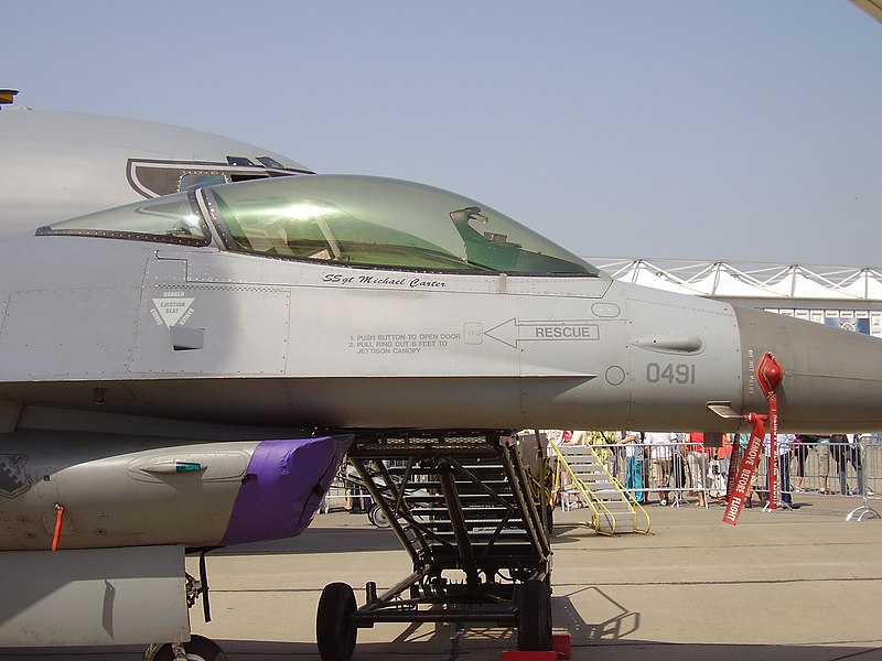 File:ILA 2008 PD 118.JPG