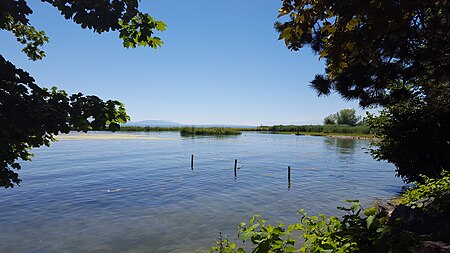 Ile aux oiseaux