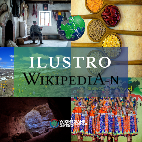 File:Ilustro Wikipedia-n 2020.png