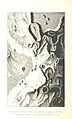 Image taken from page 160 of 'L'Espace céleste et la nature tropicale, description physique de l'univers ... préface de M. Babinet, dessins de Yan' Dargent' (11071214335).jpg